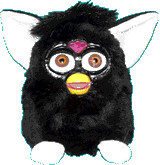 The Solid Black Furby!